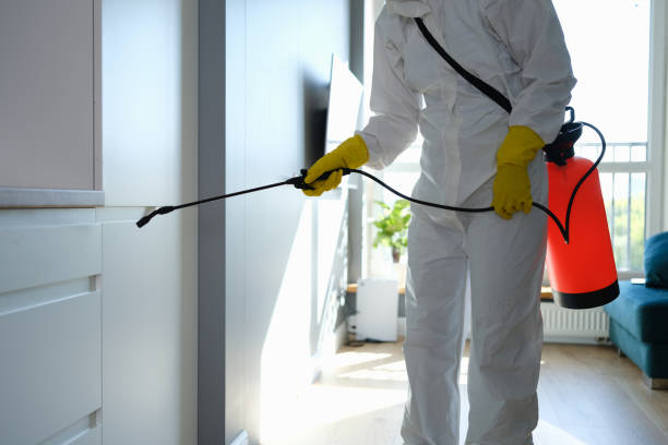 Mold Testing and Removal in Lakeside, VA