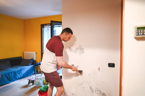 Best Certified Mold Removal  in Lakeside, VA